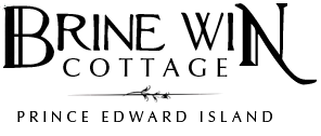 brinewinlogo-removebg-preview